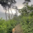 (주)피앤비 인터내셔널 이미지