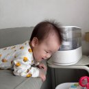 엘리퀸 피티 스튜디오 | 땡큐 8개월 기록 / 8개월 아기 발달, 이분이이분, 장난감, 돌잔치 준비