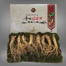 대경인삼 쇼핑하우