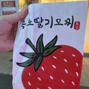 속초만선집 | [속초 여행] 속초중앙시장에서 먹은 것들 총정리!