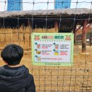 진사슴농장 이미지