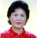 남산농약사 이미지