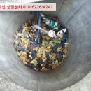 노변주유소 이미지