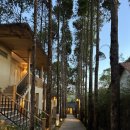 사오마트 | 여행(12월)] 중부 (사오비치, 중부맛집, 중부 숙소...시장 후기, 소나시야시장 맛집, 킹콩마트 후기...