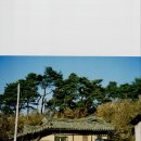 영주 야성송씨 괴동재사 티스토리
