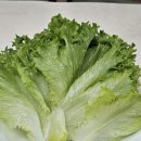 한구목장 네이버블로그