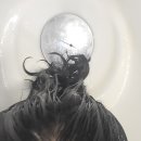 고센하우스 이미지