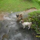 영식농장 이미지