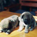 성모재활의학과의원 이미지