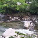 왕소나무집 이미지