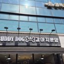 버디독 강아지분양 고양이분양 안심분양센터 서울 강서점 이미지