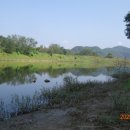 청미천 4 이미지