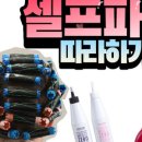 파마의집 이미지