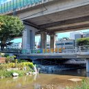 성내4교 아래 이미지