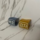 로힌(rohin) | [강아지 인식표] 10개월 사용중인 하네스, 리드줄 부착형 로힌 반려동물 인식표 후기 !