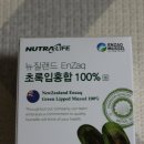 초록입홍합. 초홍환100% 뉴트라라이프 초록입홍합 - 효도 선물