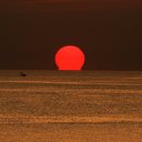 해뜨는바다 이미지