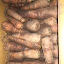 김형표농장 이미지