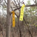 경기도 이천시청 이미지