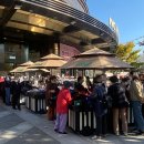 남성 크로커다일 이미지