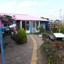 곽지하우스 민박 이미지