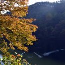 팔덕면사무소 이미지