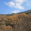 서운산자연휴양림 이미지