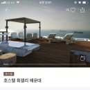 다음주 월~수 해운대 올 여시 새로 오픈하는 호스텔 5500원에 예약 가능 이미지