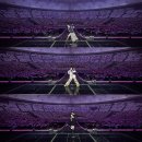 유림치과병원 | 2025 둘러보기 🍀