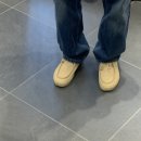 (왈라비?!) 반스 (VANS) 카버 하이 후기