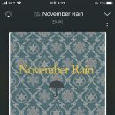 한돈한우 정육식당 이미지