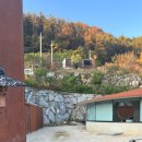 빌라누트 이미지