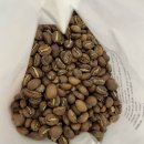 2019 특별순회전 < 커피사회 > | 상록수커피 에티오피아 무제 메시나 워시드(feat. 보라보라색 맛!)