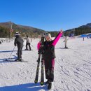 용평리조트 스키장 | 용평 리조트 스키장 개장 리프트권 가격 할인 셔틀버스