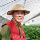 주식회사 파머스팜