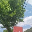 돋을볕펜션 이미지