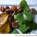 운제농장 이미지