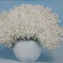 연꽃테마파크 이미지