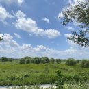 만경강길 3코스 이미지