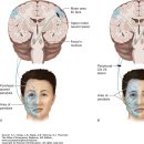 성진한의원 이미지