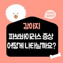 햇살동물병원 이미지