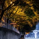 영남밧데리 이미지