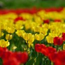 문산통일로공인중개사사무소 | [공지] [투자 유망지] 접경지 파주, 평화경제특구 개발계획 착수! 과연 투자의 기회가 될까?
