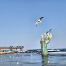 감포해수탕 이미지