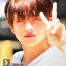 퍼피베이비 이미지