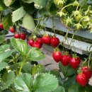 김정현 농장 이미지