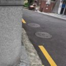 강아지 마법사 골드맘 이미지