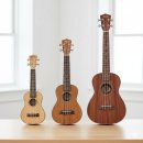 하와이 전통악기 우쿨렐레(야간) | 우쿨렐레 종류 완벽 정리! 소프라노 vs 콘서트, 나에게 맞는 사이즈는? (입문용 추천)