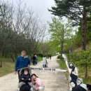 전곡선사박물관 이미지