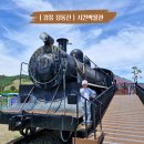 1찍자 2놀자 3뽑자 | 강릉 정동진 아이랑 가볼 만한 곳 실내 시간박물관